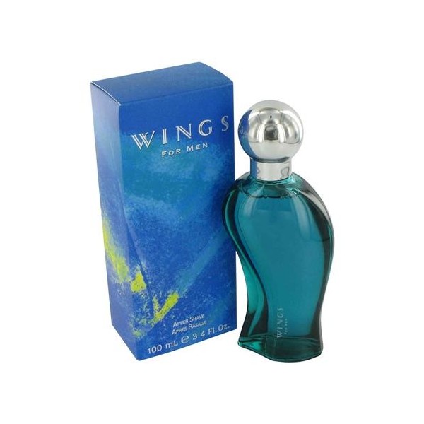 Wings Pour Homme Giorgio Beverly Hills